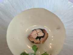 -蝶舍·MAISON PAPILLON