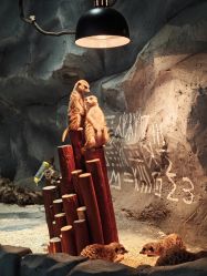 -Zoolung Zoolung动物主题公园(海信广场店)