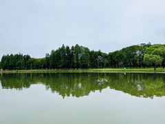 -无锡蠡湖国家湿地公园-蠡园