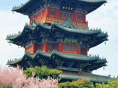 -迎泽公园