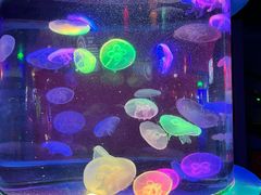 -太平洋海底世界