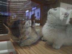 -永旺梦乐城(金银潭店)