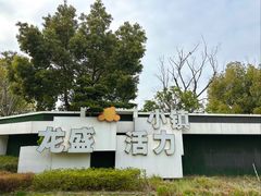 -龙盛活力小镇