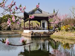 -无锡蠡湖国家湿地公园-蠡园