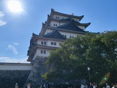 -名古屋城