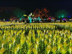 -国际非物质文化遗产博览园
