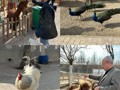 -水上乐园·欢乐世界