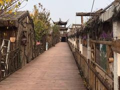 -呀路古热带植物园