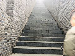 -宜兴龙背山森林公园