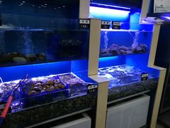 水产区-老虎滩大连海鲜烧烤(建邺云锦路总店)