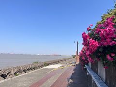 -上海滨江森林公园