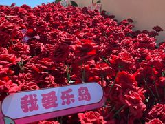 -秦皇岛乐岛海洋王国