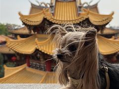 -梵天禅寺