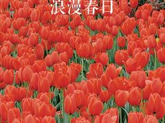 -静安雕塑公园