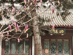 -护国法轮寺