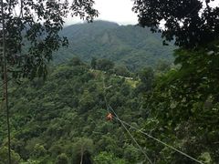 -清迈丛林飞跃 JungleFlight