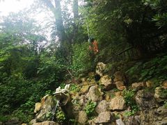 -韶山毛泽东同志故居