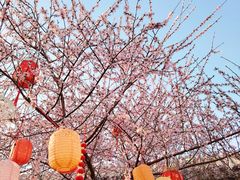 -三里河公园