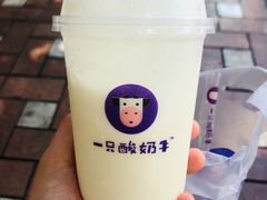 籽籽百香酸奶多-一只酸奶牛(八一路店)