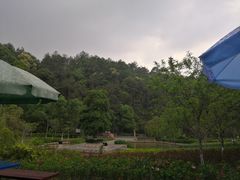 -神光山国家森林公园