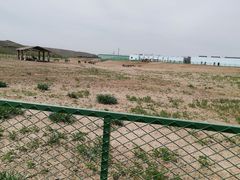 -新疆天山野生动物园