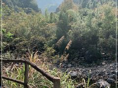 -石台牯牛降景区