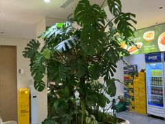 -枕水江南(浑南店)