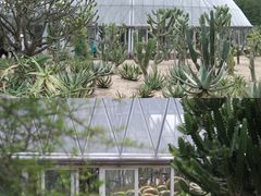 -深圳市中科院仙湖植物园
