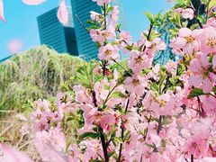 -红山公园