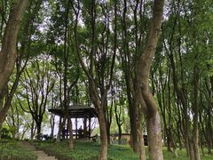 -昆山城市公园