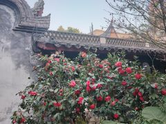 -乌山风景区