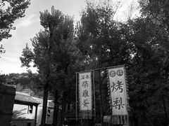 -古北烤梨