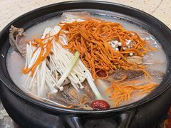 -九寨特色牦牛肉汤锅 羊肉汤锅