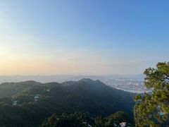 -大金鹰园