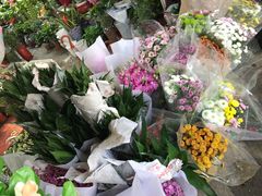 -沪花拾者(好再来花卉鲜花店)