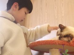 -猫腻·猫咖·撸猫馆(星光大道店)