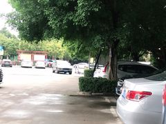 -滴水岩森林公园