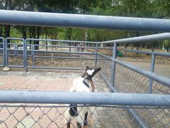 -长白岛森林公园