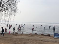 -丁香湖公园