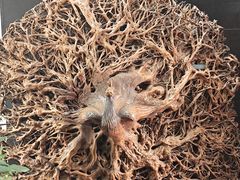 -长沙简牍博物馆