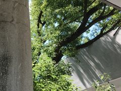 -湖北美术学院(昙华林校区)