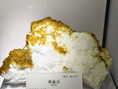 -湖南省地质博物馆