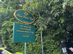 -Fern Forest Cafe