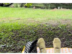 -上海共青森林公园