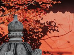 -护国法轮寺