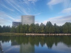 -大兴滨河森林公园