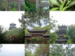 -杭州半山国家森林公园