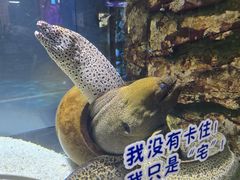-顺德南宏海立方海洋公园
