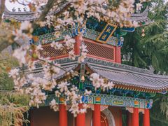 -西安市广仁寺
