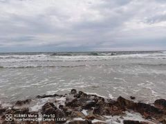 -黄海国家森林公园